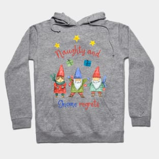 Naught and Gnome Regrets Hoodie